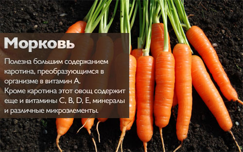 Сколько килокалорий в морковке
