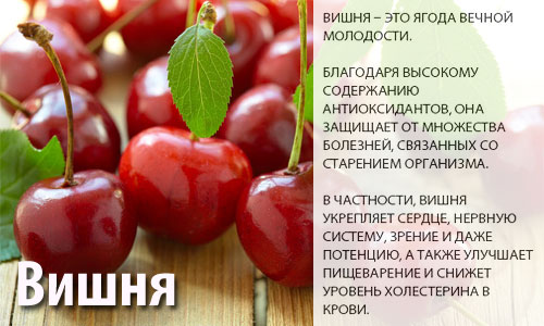 Состав и полезные свойства вишни