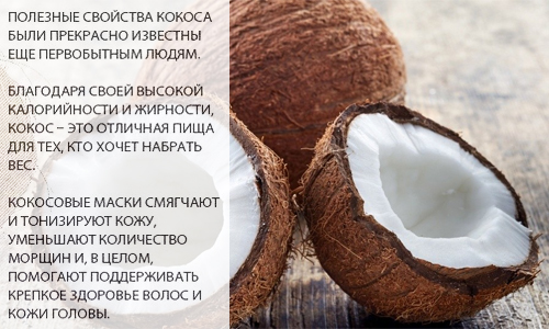 Сколько ккал в кокосе