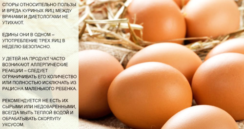 Состав и полезные свойства куриного яйца