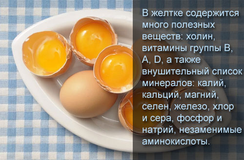 Состав и полезные свойства желтка куриного яйца