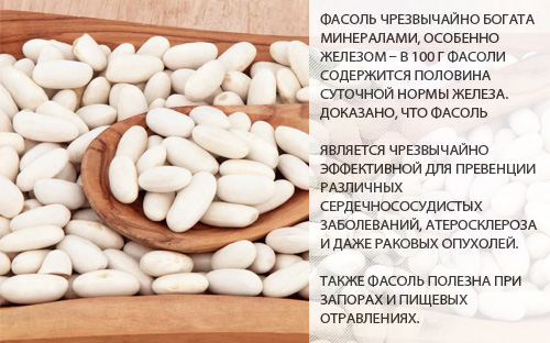 Фасоль белая - калорийность, полезные свойства, польза и вред, описание -Calorizator.ru