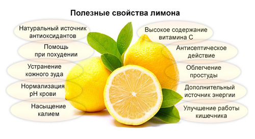 Состав и полезные свойства лимона