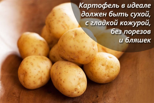 Выбор и хранение картофеля