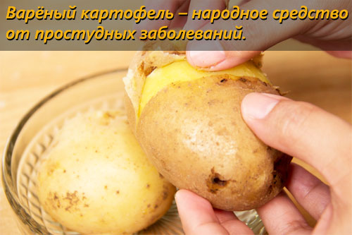Состав и полезные свойства варёного картофеля