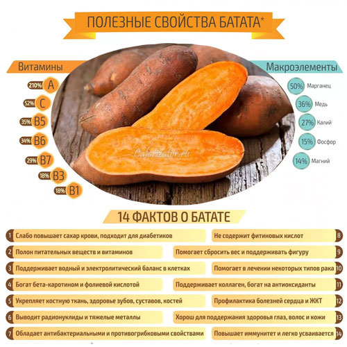 Картофель сладкий (батат) - калорийность, полезные свойства, польза и вред, описание - Calorizator.ru