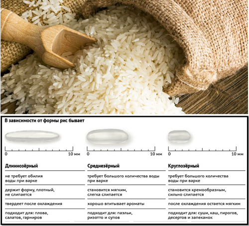 Сорта белого риса