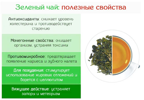 Состав и полезные свойства зелёного сухого чая