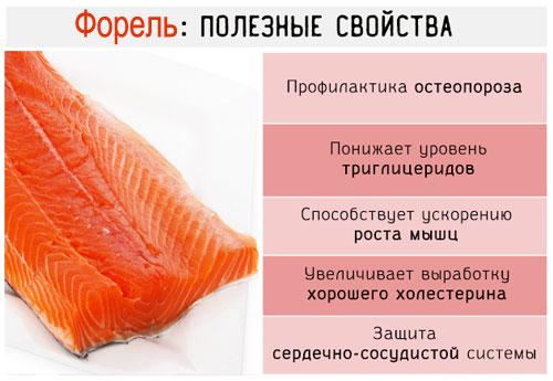 калорийность отварной красной рыбы