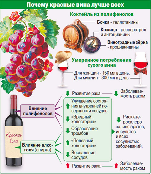 Состав и полезные свойства вина красного сухого