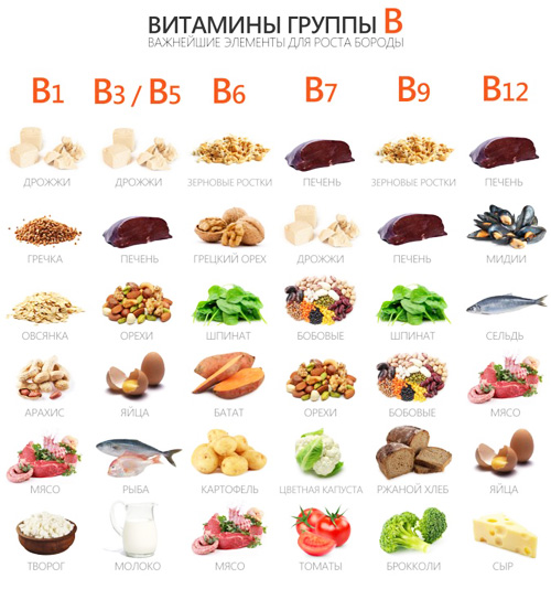 Витамин B (группа витаминов) - влияние на организм, польза и вред, описание  - Calorizator.ru