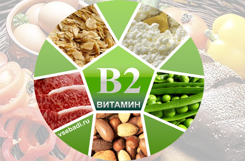 Пищевые источники витамина В2