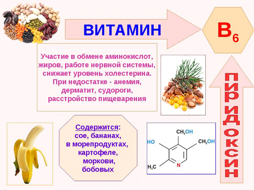 Полезные свойства витамина В6