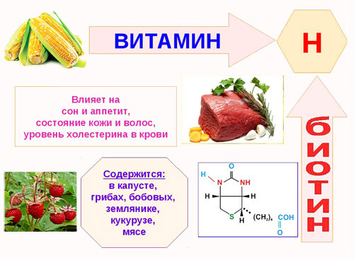 Витамин B7 (Биотин, витамин Н, коэнзим R) - влияние на организм, польза и вред, описание - Calorizator.ru