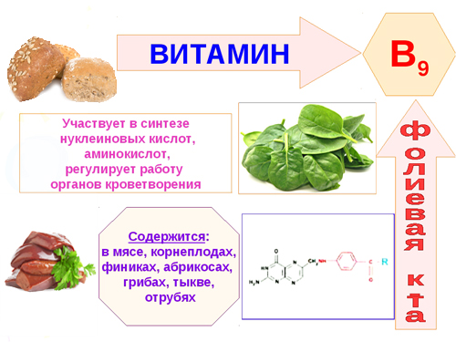 Полезные свойства витамина В9